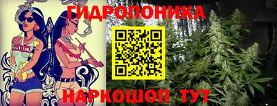 гидропоника Бугуруслан