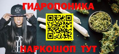 соль ск Будённовск